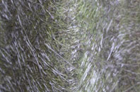 Larden Green fibreglass roof work